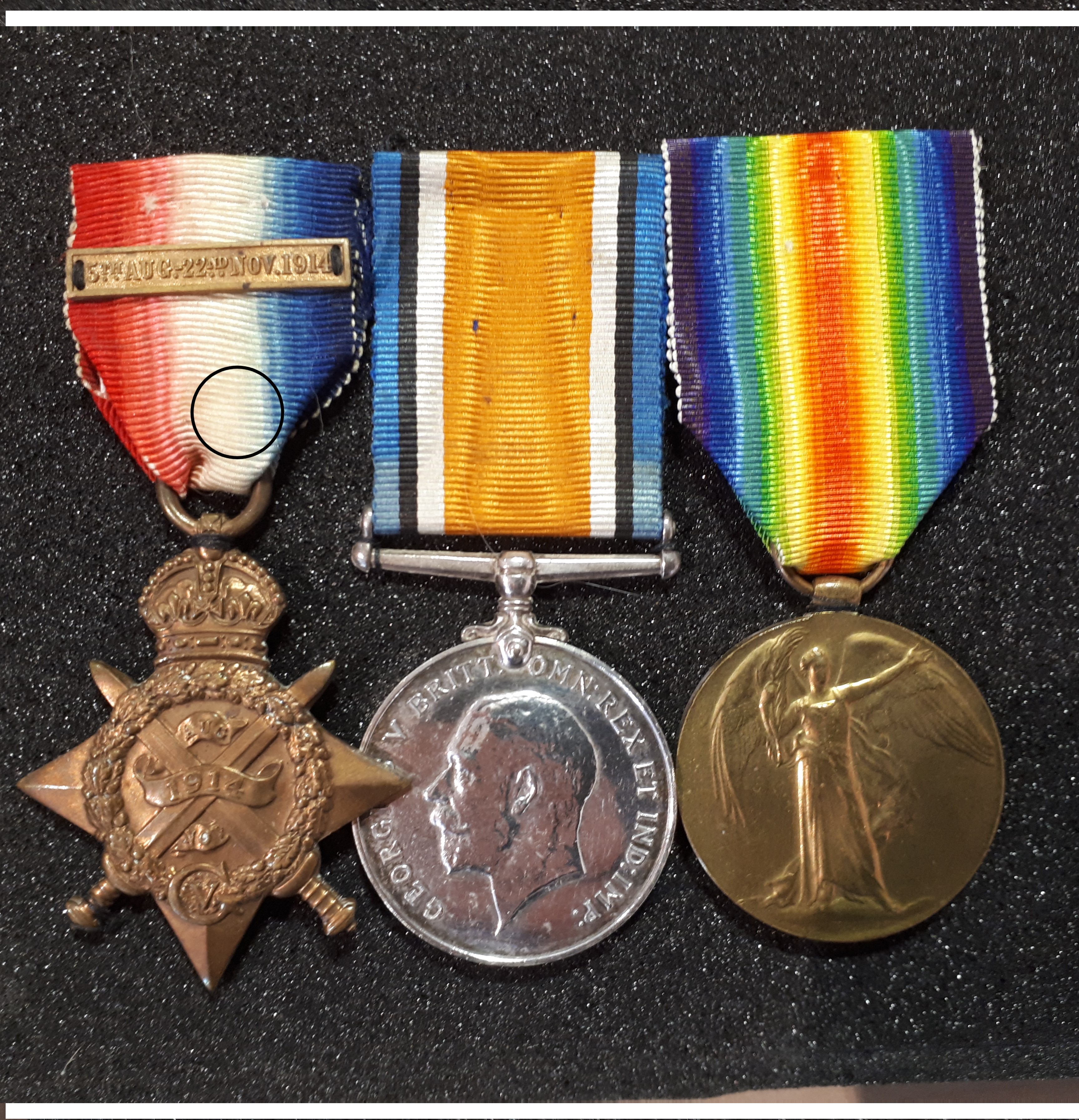 Pip, Squeak and Wilfred